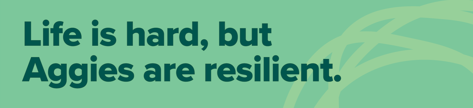 Life is hard, but Aggies are resilient